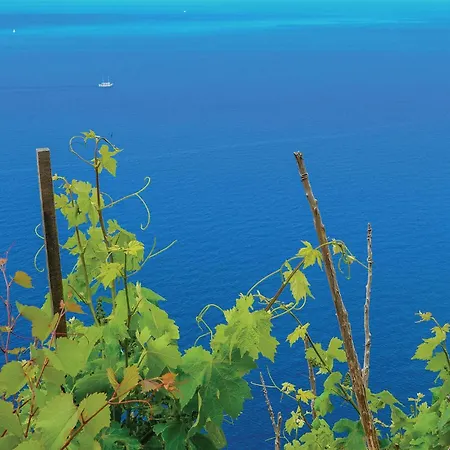 דירה 2 Bedroom Gorgeous In