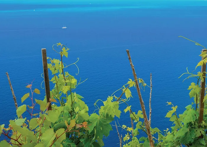 Apartman 2 Bedroom Gorgeous In